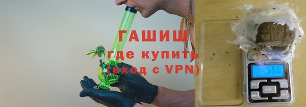 прущие грибы Гусев